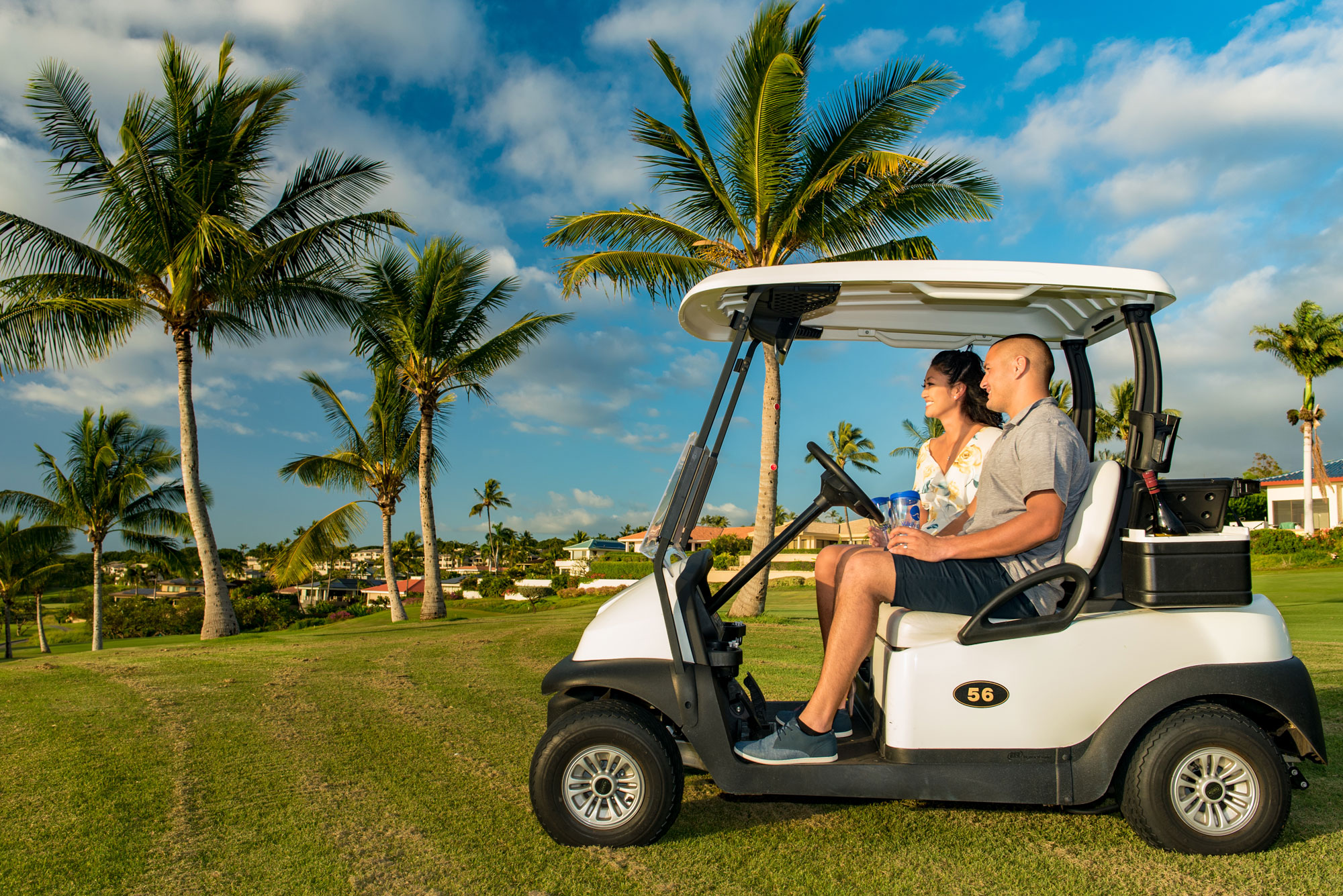 wailea golf cart tour